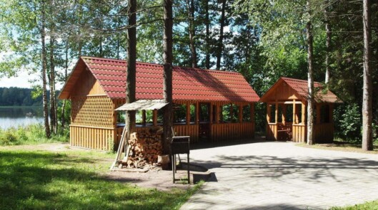 Мангальные зоны