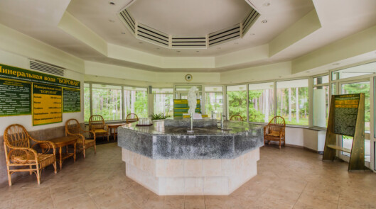 Минеральные источники