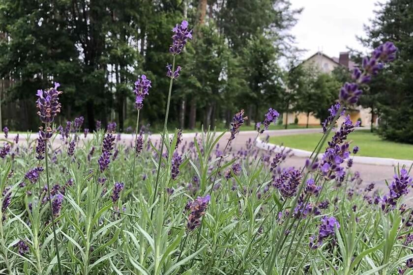 Санаторий Боровое